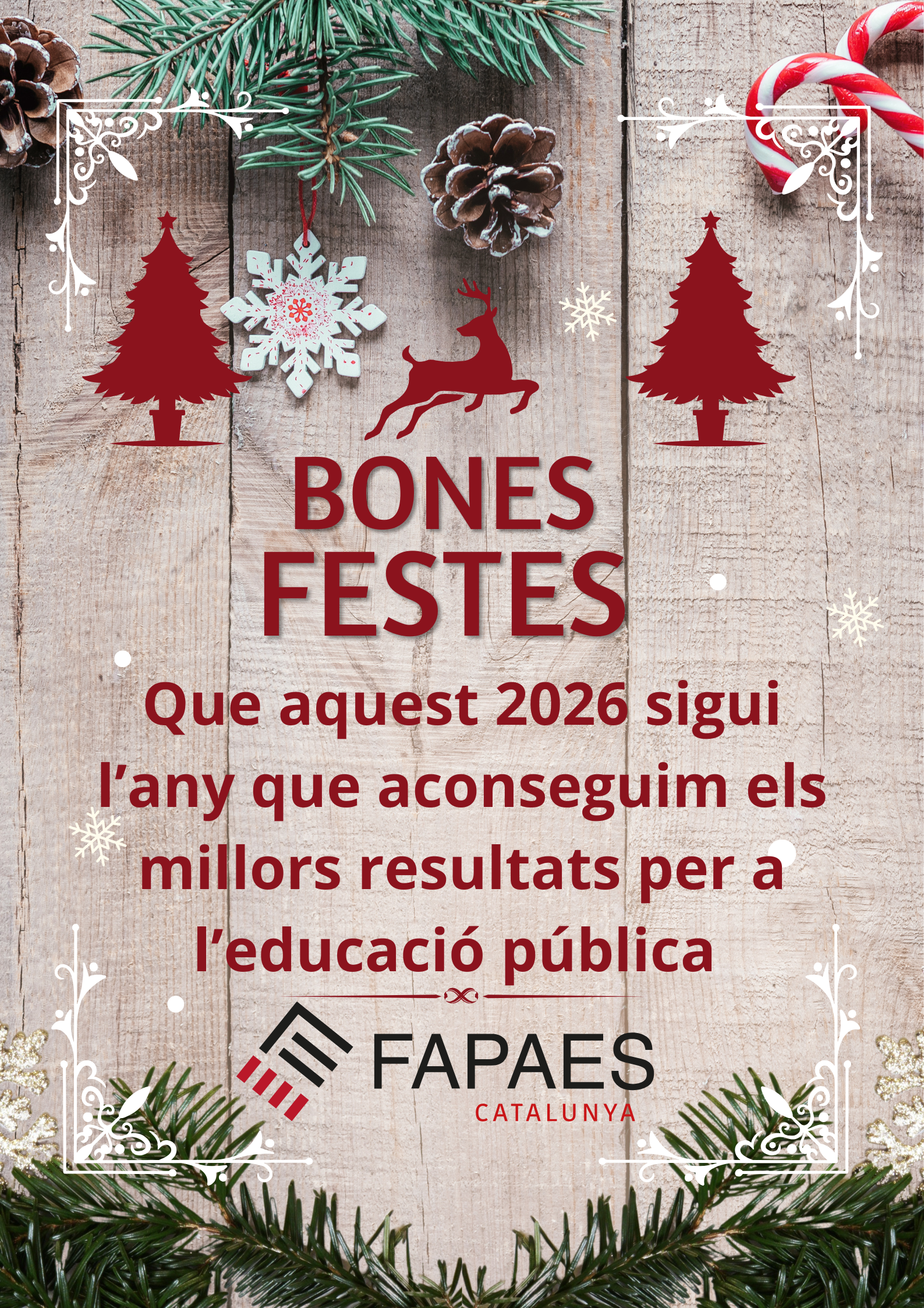 Bones Festes – FAPAES Catalunya